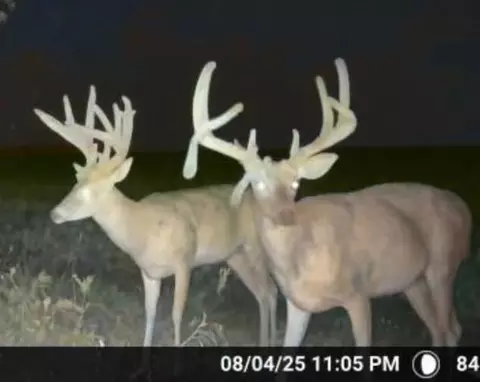 Undisclosed, Wellington, KS 67152