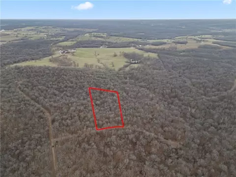 Tim Road, Edwards, MO 65326 photo 2