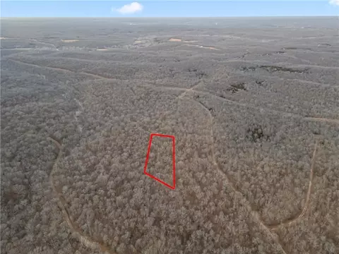 Tim Road, Edwards, MO 65326 photo 6
