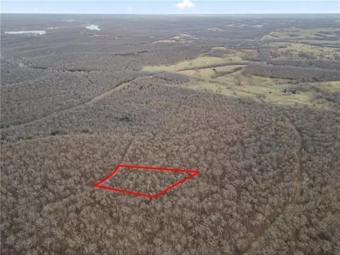 Tim Road, Edwards, MO 65326 photo 9