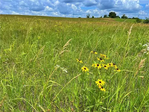 E 220th Lane, Bethany, MO 64424 photo 12