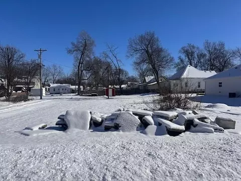 Nettleton Street, Cameron, MO 64429