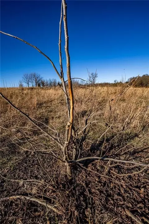 00000 Xavier Rd, Mapleton, KS 66754 photo 4