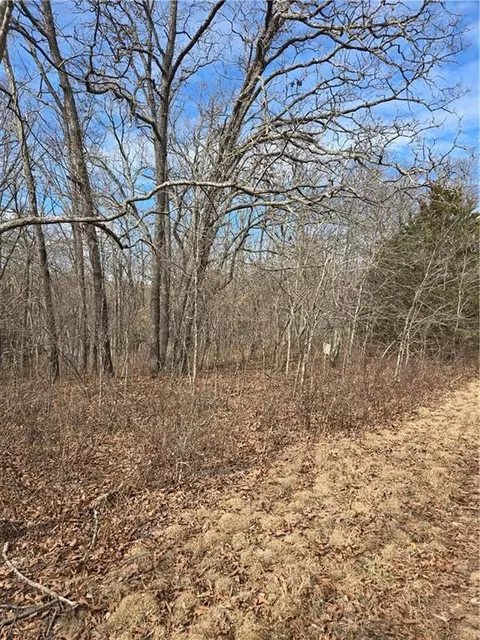 Mo-v Highway, Edwards, MO 65326 photo 2