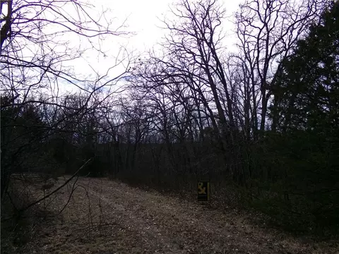 Mo-v Highway, Edwards, MO 65326 photo 11