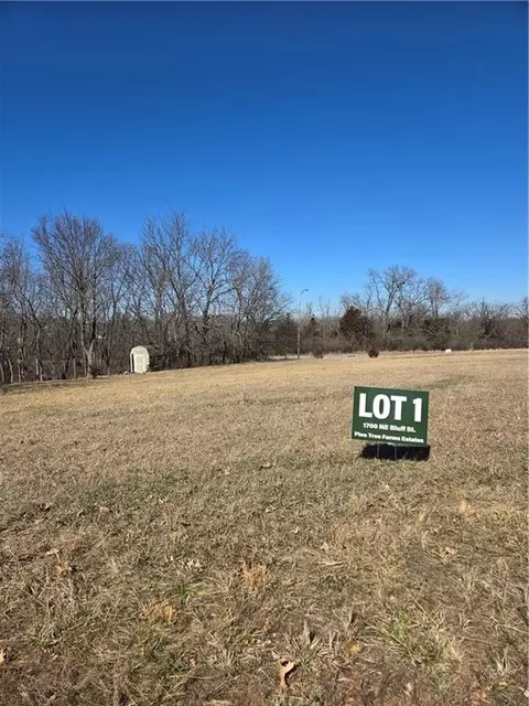 1700 NE Bluff St, Lees Summit, MO 64086
