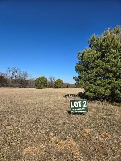 1704 NE Bluff St, Lees Summit, MO 64086