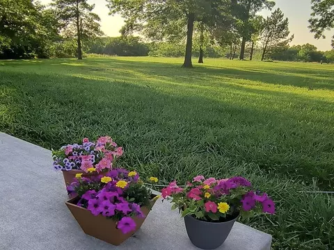 720 SW 800th Rd, Chilhowee, MO 64733 photo 10