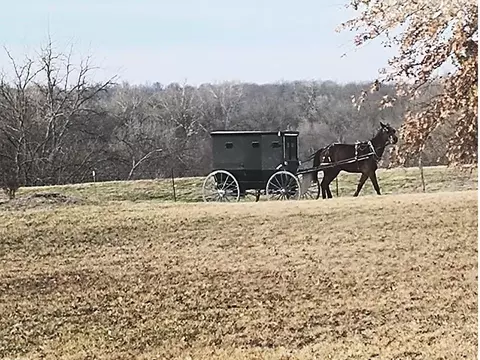 720 SW 800th Rd, Chilhowee, MO 64733 photo 12