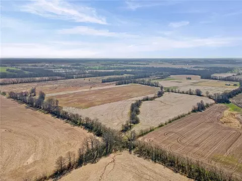 Iguana Road, Brookfield, MO 64628 photo 8