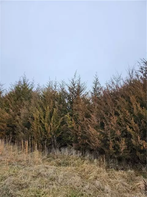 37 Silver Fox Trl, Linn Valley, KS 66040