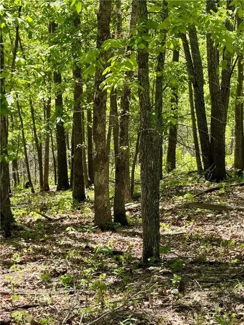 Cliff House Drive, Edwards, MO 65326 photo 4