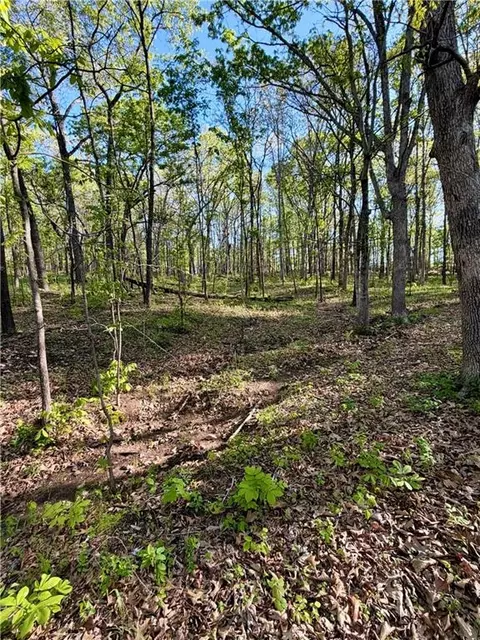 Cliff House Drive, Edwards, MO 65326 photo 2