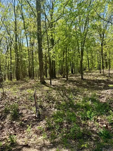 Cliff House Drive, Edwards, MO 65326