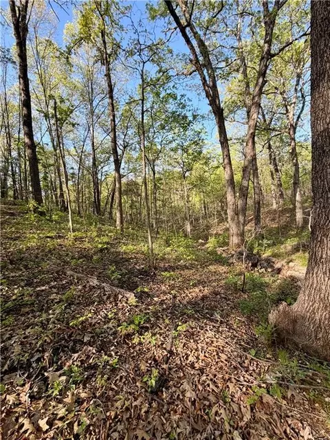 Cliff House Drive, Edwards, MO 65326 photo 3
