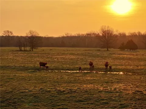 13585 S Aa Hwy, Walker, MO 64790 photo 21