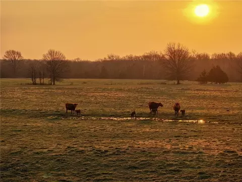 13585 S Aa Hwy, Walker, MO 64790 photo 22