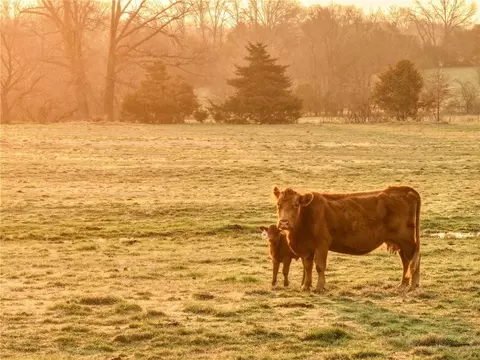 13585 S Aa Hwy, Walker, MO 64790 photo 23