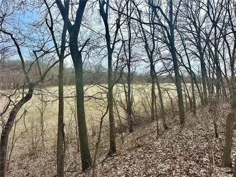 NW 401 Road, Chilhowee, MO 64733 photo 8