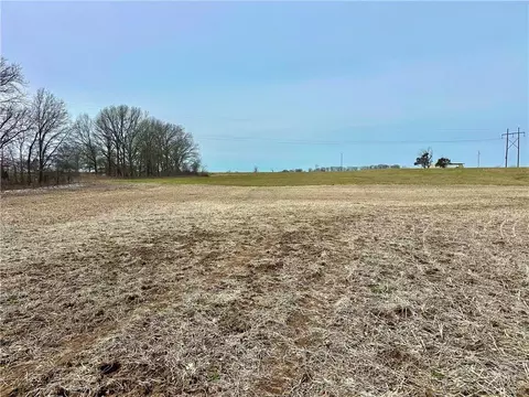 NW 401 Road, Chilhowee, MO 64733 photo 15