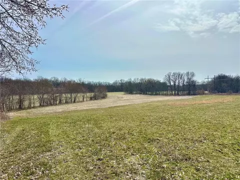 NW 401 Road, Chilhowee, MO 64733 photo 13