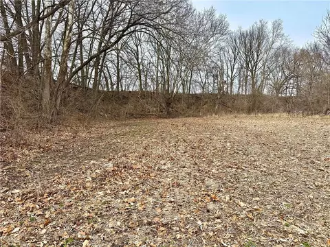 NW 401 Road, Chilhowee, MO 64733 photo 19