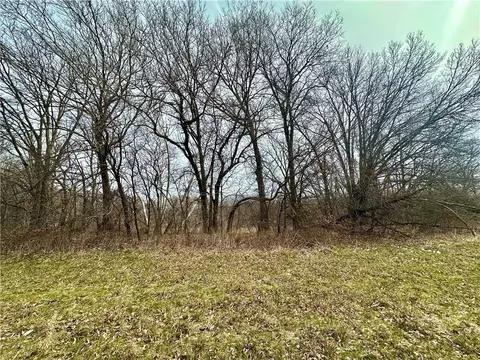 NW 401 Road, Chilhowee, MO 64733 photo 6