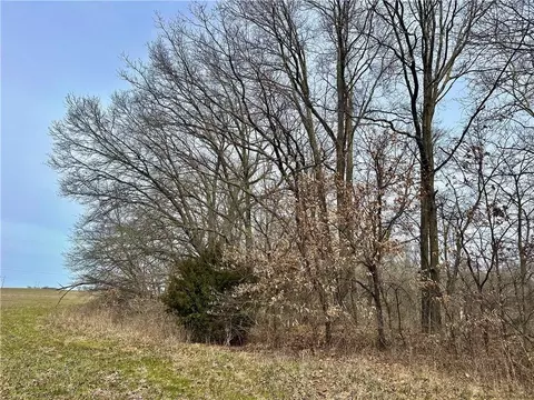 NW 401 Road, Chilhowee, MO 64733 photo 7
