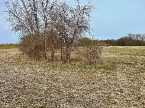NW 401 Road, Chilhowee, MO 64733 photo 14