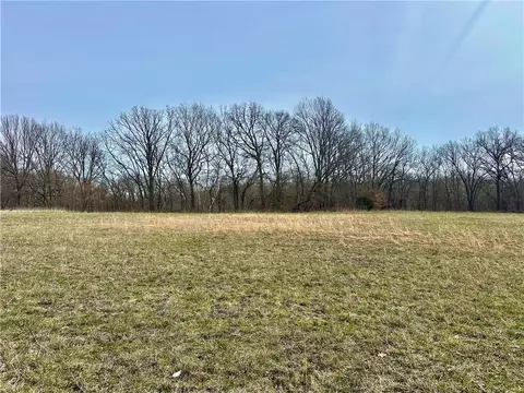 NW 401 Road, Chilhowee, MO 64733 photo 2