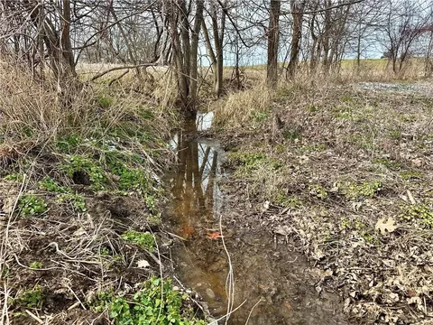 NW 401 Road, Chilhowee, MO 64733 photo 5