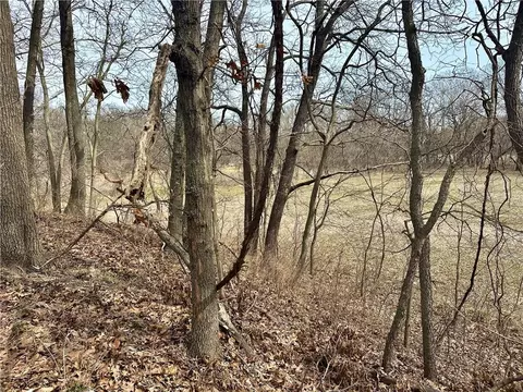 NW 401 Road, Chilhowee, MO 64733 photo 9