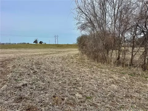 NW 401 Road, Chilhowee, MO 64733 photo 16