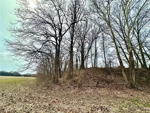 NW 401 Road, Chilhowee, MO 64733 photo 21