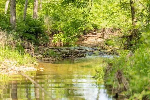 tbd NE 82 Hwy, Osceola, MO 64776