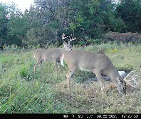 Other - 15017 Botkin Rd, Centerville, KS 66014 photo 41 of 46