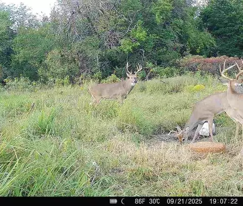 Other - 15017 Botkin Rd, Centerville, KS 66014 photo 40 of 46