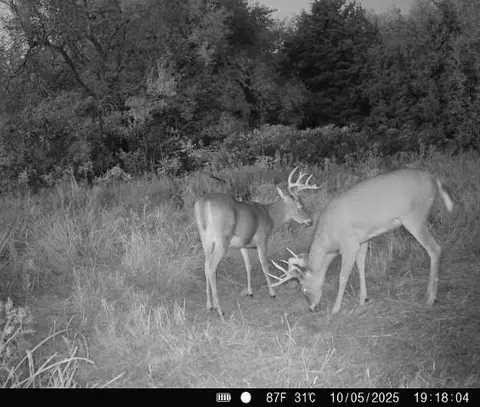 Other - 15017 Botkin Rd, Centerville, KS 66014 photo 43 of 46