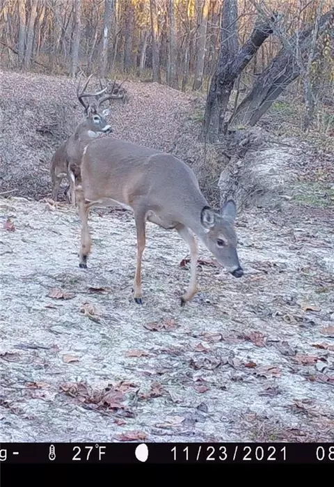 Other - 107 SE 40th Rd, Lamar, MO 64759 photo 14 of 24