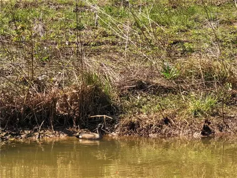 Other - 107 SE 40th Rd, Lamar, MO 64759 photo 21 of 24