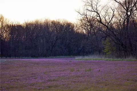 0000 Williams Rd, Dearborn, MO 64439 photo 2