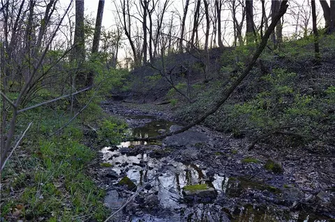0001 Williams Rd, Dearborn, MO 64439 photo 3