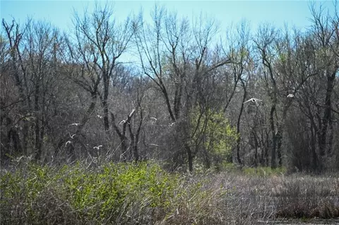 Other - 304 Reavley Dr, Lamar, MO 64759 photo 9 of 16