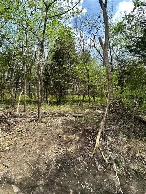 197 Sycamore Dr, Linn Valley, KS 66040