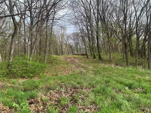 493 SW 1000 Rd, Chilhowee, MO 64733 photo 8