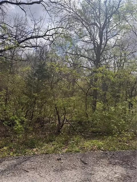 lot73 76 Green Forest Way, Oak Grove, MO 64075