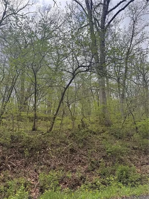 lot47 49 Park Ln, Oak Grove, MO 64075