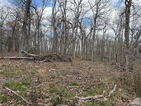 991 SE 976 Rd, Deepwater, MO 64740 photo 60