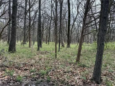 991 SE 976 Rd, Deepwater, MO 64740 photo 44
