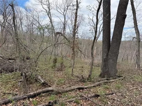 991 SE 976 Rd, Deepwater, MO 64740 photo 69